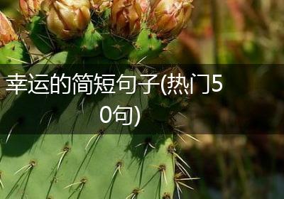 幸运的简短句子(热门50句)