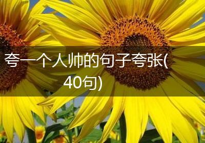 夸一个人帅的句子夸张(40句)