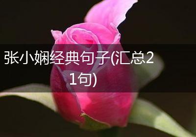 张小娴经典句子(汇总21句)
