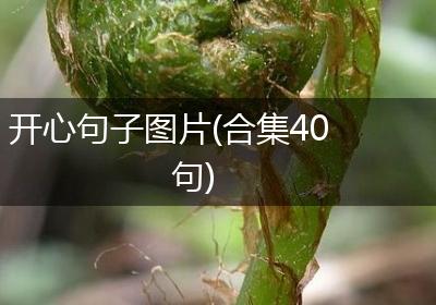 开心句子图片(合集40句)