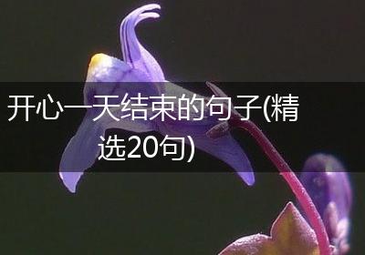 开心一天结束的句子(精选20句)