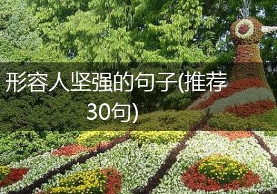 形容人坚强的句子(推荐30句)