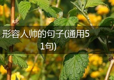 形容人帅的句子(通用51句)