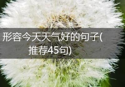 形容今天天气好的句子(推荐45句)