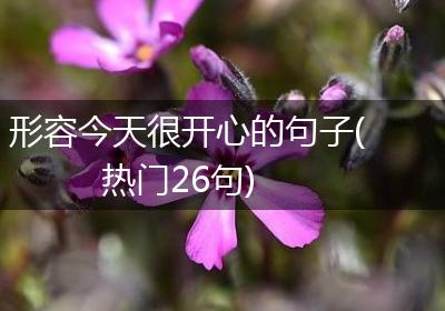 形容今天很开心的句子(热门26句)