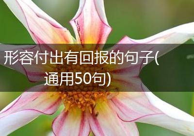形容付出有回报的句子(通用50句)