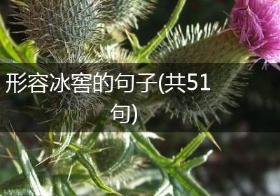 形容冰窖的句子(共51句)