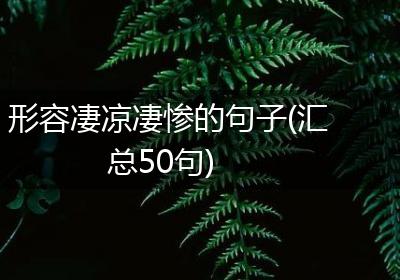 形容凄凉凄惨的句子(汇总50句)