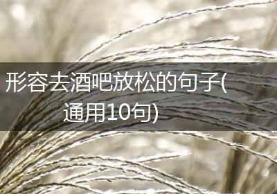 形容去酒吧放松的句子(通用10句)