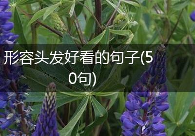形容头发好看的句子(50句)