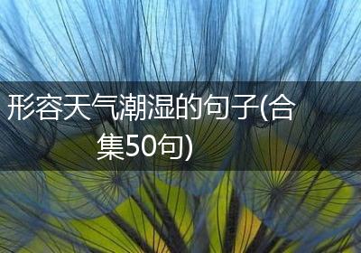 形容天气潮湿的句子(合集50句)