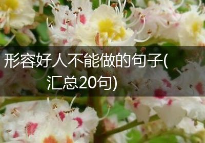 形容好人不能做的句子(汇总20句)