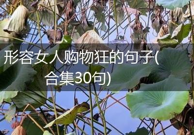 形容女人购物狂的句子(合集30句)