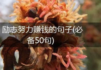 励志努力赚钱的句子(必备50句)