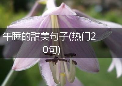 午睡的甜美句子(热门20句)