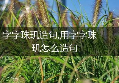 字字珠玑造句,用字字珠玑怎么造句