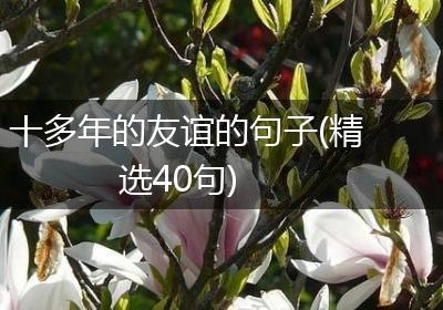 十多年的友谊的句子(精选40句)