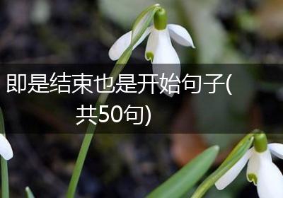 即是结束也是开始句子(共50句)