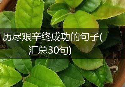 历尽艰辛终成功的句子(汇总30句)