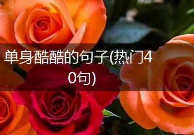 单身酷酷的句子(热门40句)