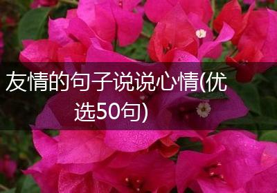 友情的句子说说心情(优选50句)