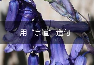 用“宗道”造句