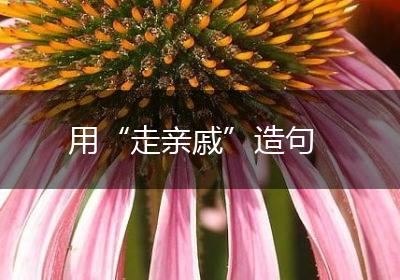 用“走亲戚”造句