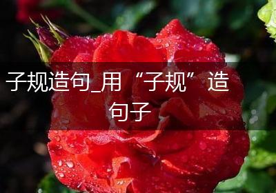 子规造句_用“子规”造句子