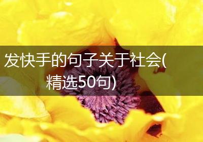 发快手的句子关于社会(精选50句)