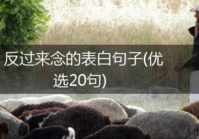 反过来念的表白句子(优选20句)
