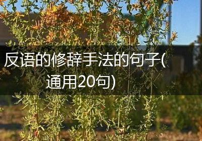 反语的修辞手法的句子(通用20句)