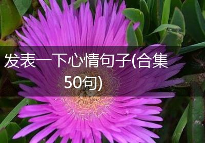 发表一下心情句子(合集50句)