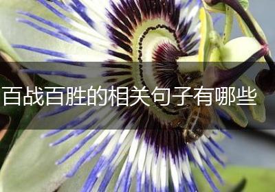 百战百胜的相关句子有哪些