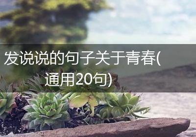 发说说的句子关于青春(通用20句)