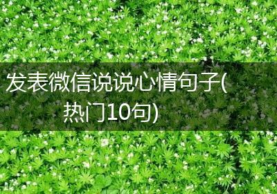 发表微信说说心情句子(热门10句)