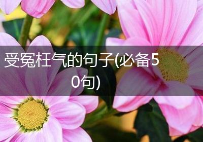 受冤枉气的句子(必备50句)