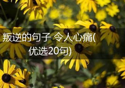叛逆的句子 令人心痛(优选20句)
