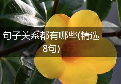 句子关系都有哪些(精选8句)