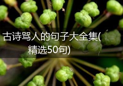古诗骂人的句子大全集(精选50句)