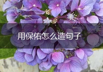 用保佑怎么造句子