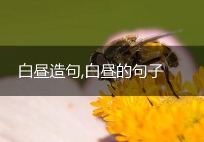白昼造句,白昼的句子