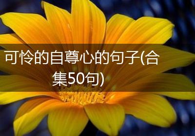 可怜的自尊心的句子(合集50句)