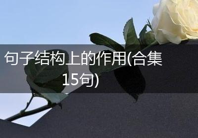 句子结构上的作用(合集15句)