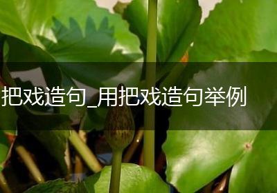把戏造句_用把戏造句举例
