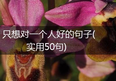 只想对一个人好的句子(实用50句)
