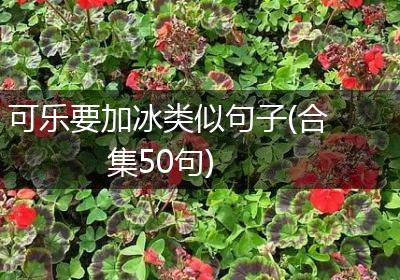 可乐要加冰类似句子(合集50句)