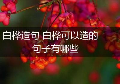 白桦造句 白桦可以造的句子有哪些