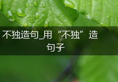 不独造句_用“不独”造句子