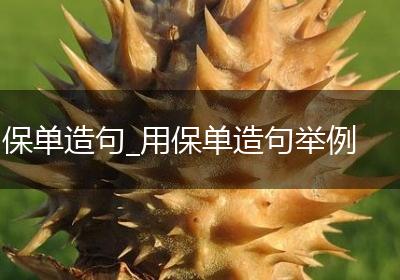 保单造句_用保单造句举例