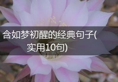 含如梦初醒的经典句子(实用10句)